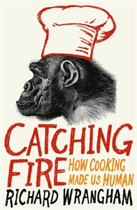 Catching fire how cooking made us human pdf download for windows 10